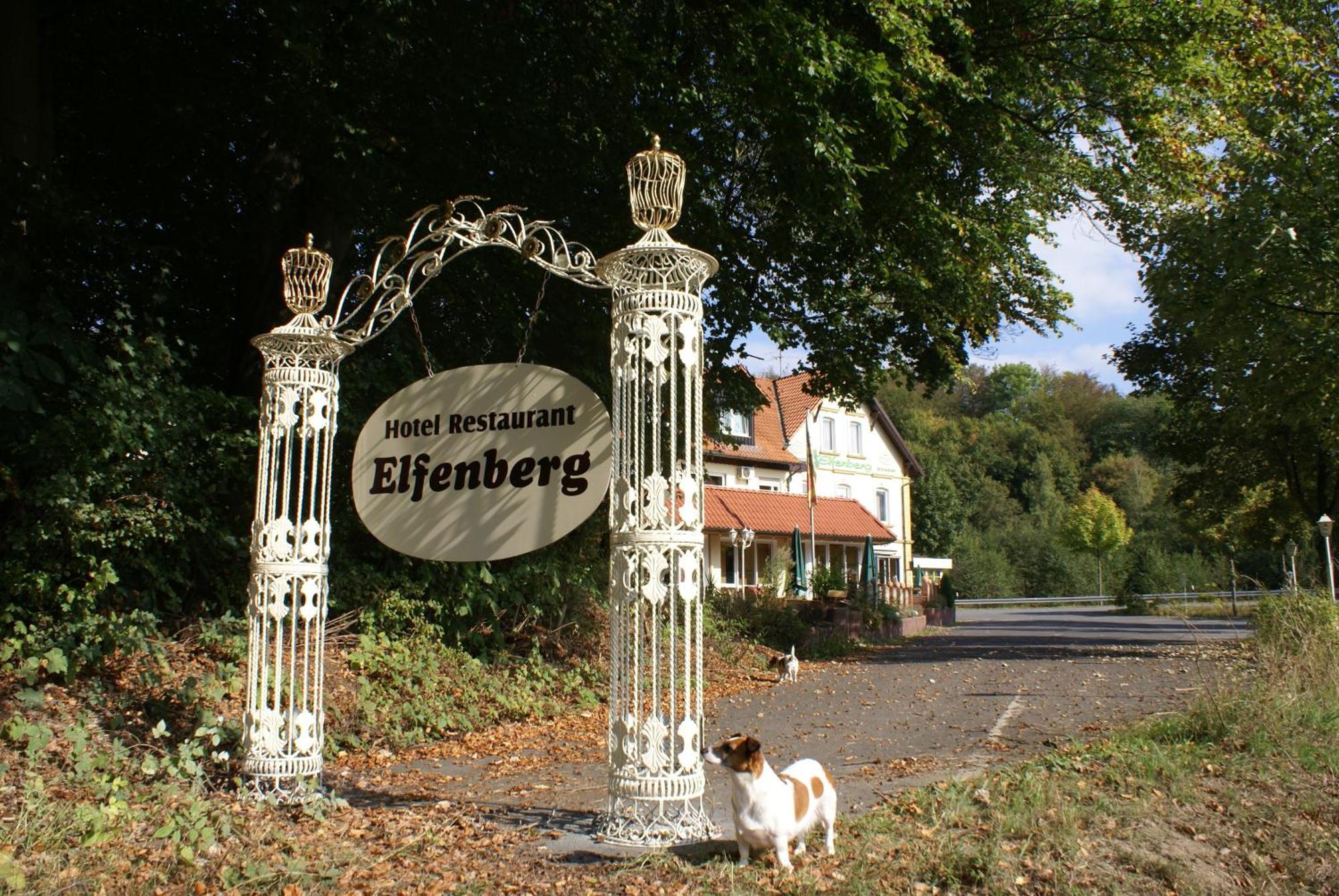 Hotel Elfenberg Schieder-Schwalenberg Εξωτερικό φωτογραφία